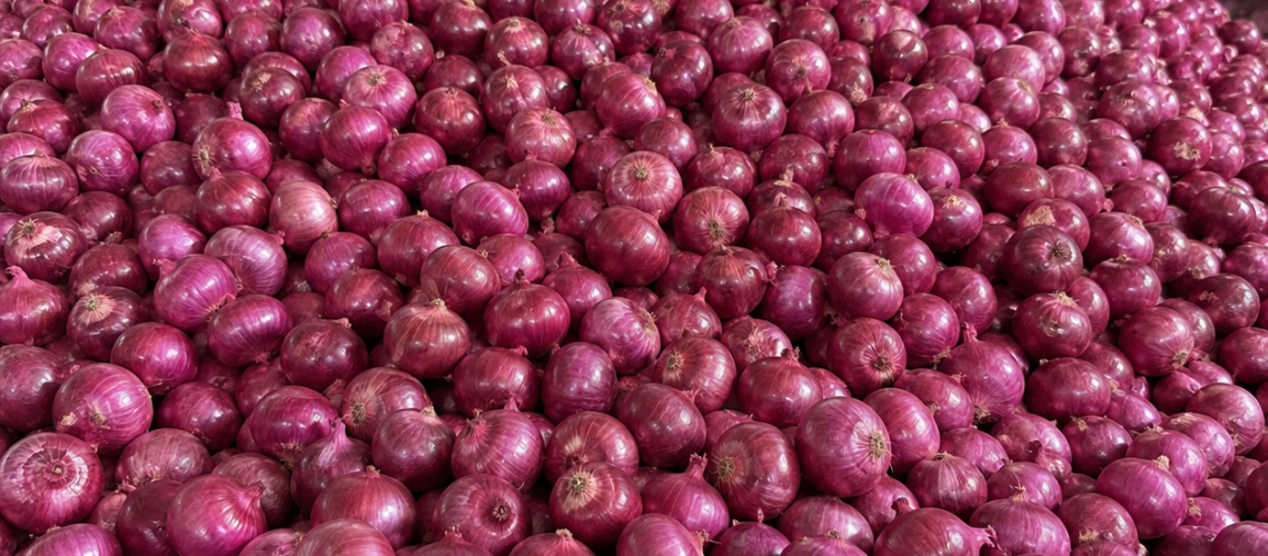 Export Red Onion