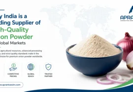 Why India is a Leading Supplier of High-Quality Onion Powder for Global Markets